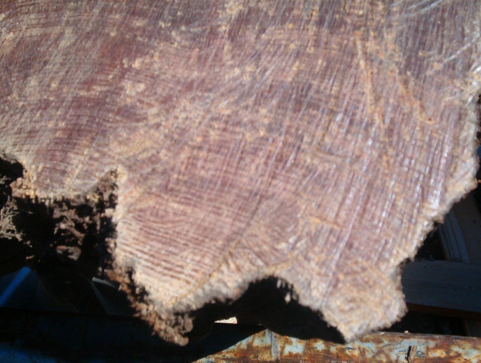 Fat lighter Kindling Fire Starters Fatwood Splints 3 Lb.+ Of Wood *FREE MAILING* - Fresh Stock Dated February 2026