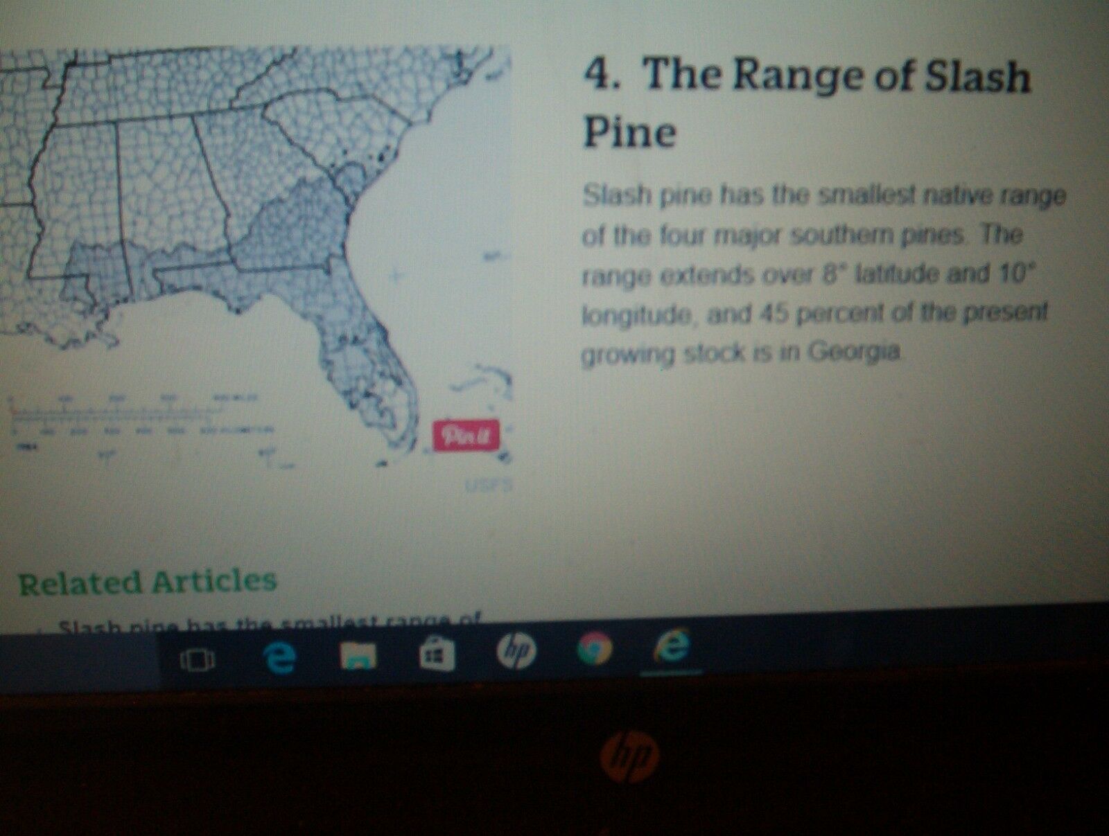 Fat lighter Kindling Fire Starters Fatwood Splints 3 Lb.+ Of Wood *FREE MAILING* - Fresh Stock Dated February 2026