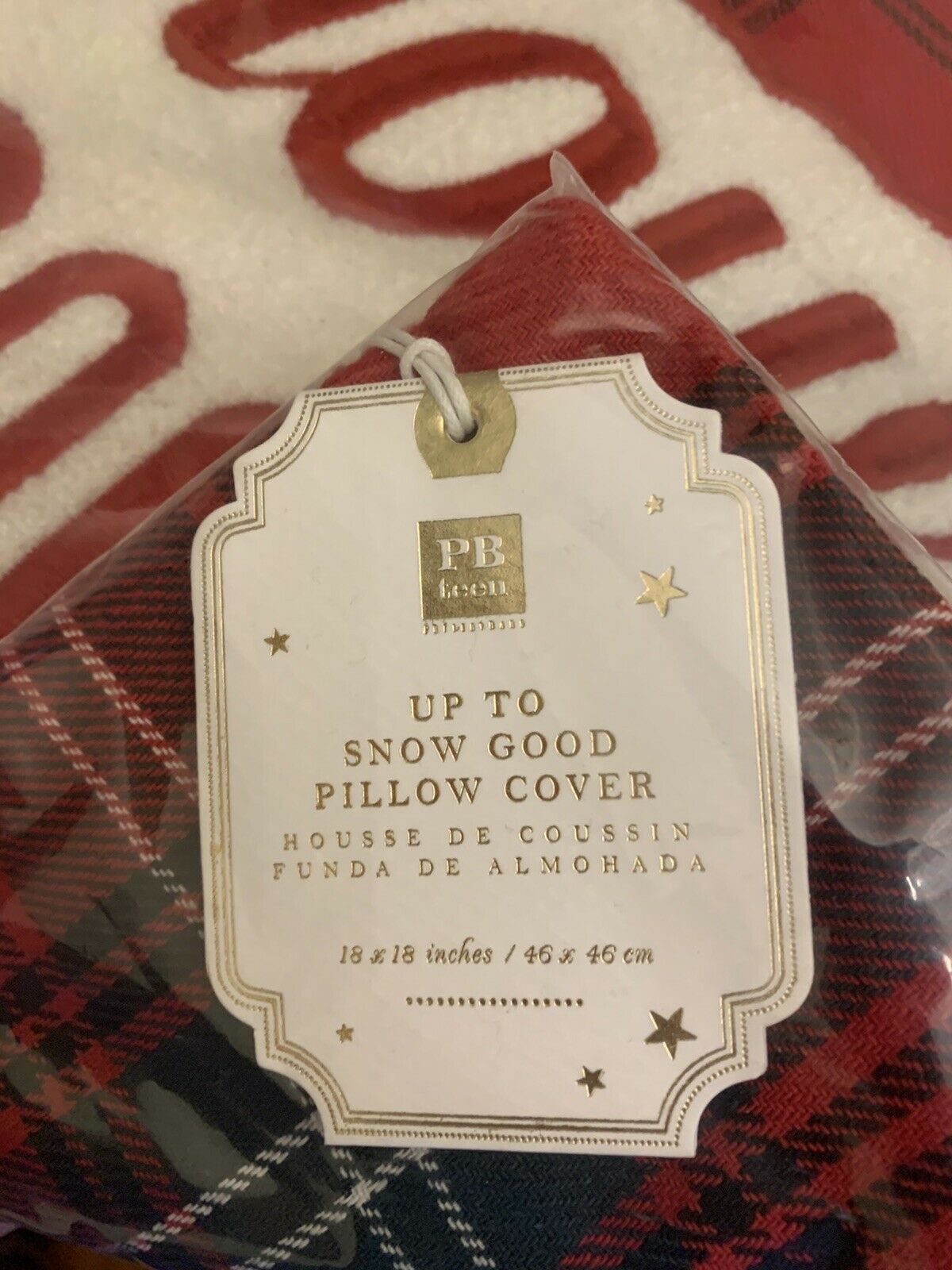 Pottery barn Pillow cover Holiday Christmas Ski lodge 18