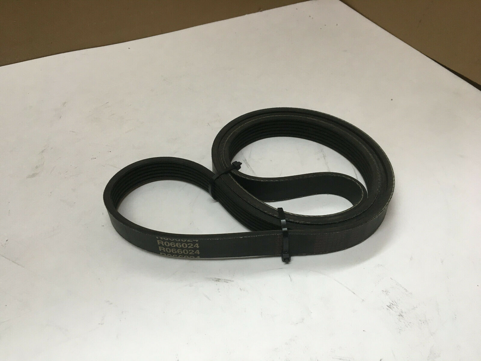 OEM Crusader Marine Serpentine BELT R066024 - Fresh Stock Dated February 2026