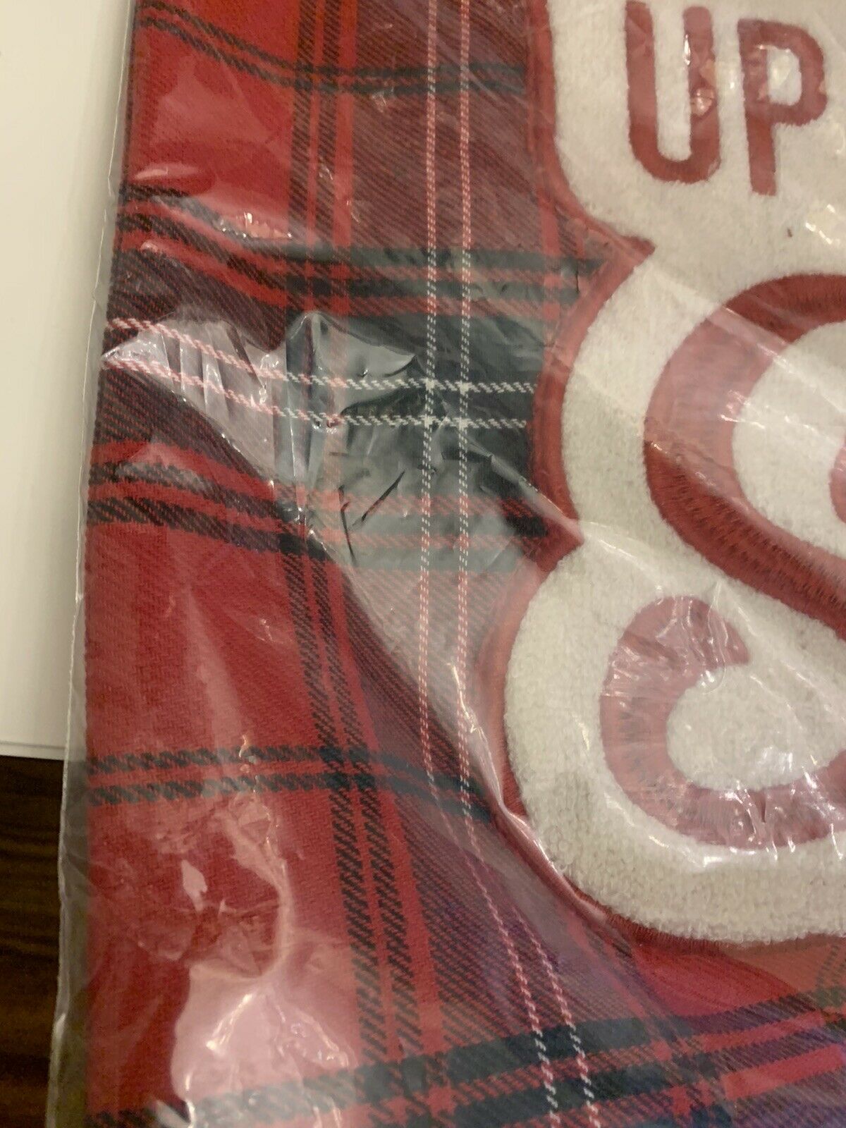 Pottery barn Pillow cover Holiday Christmas Ski lodge 18