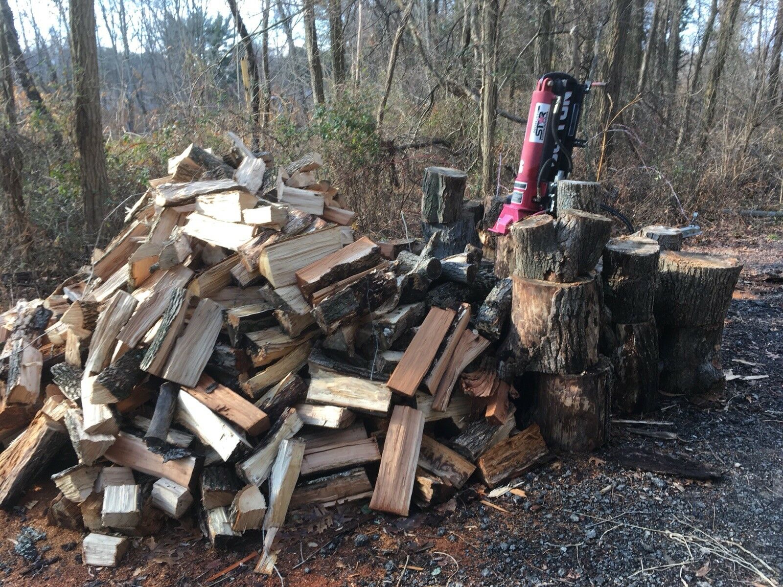 Seasoned Firewood - Fresh Stock Dated December 2025