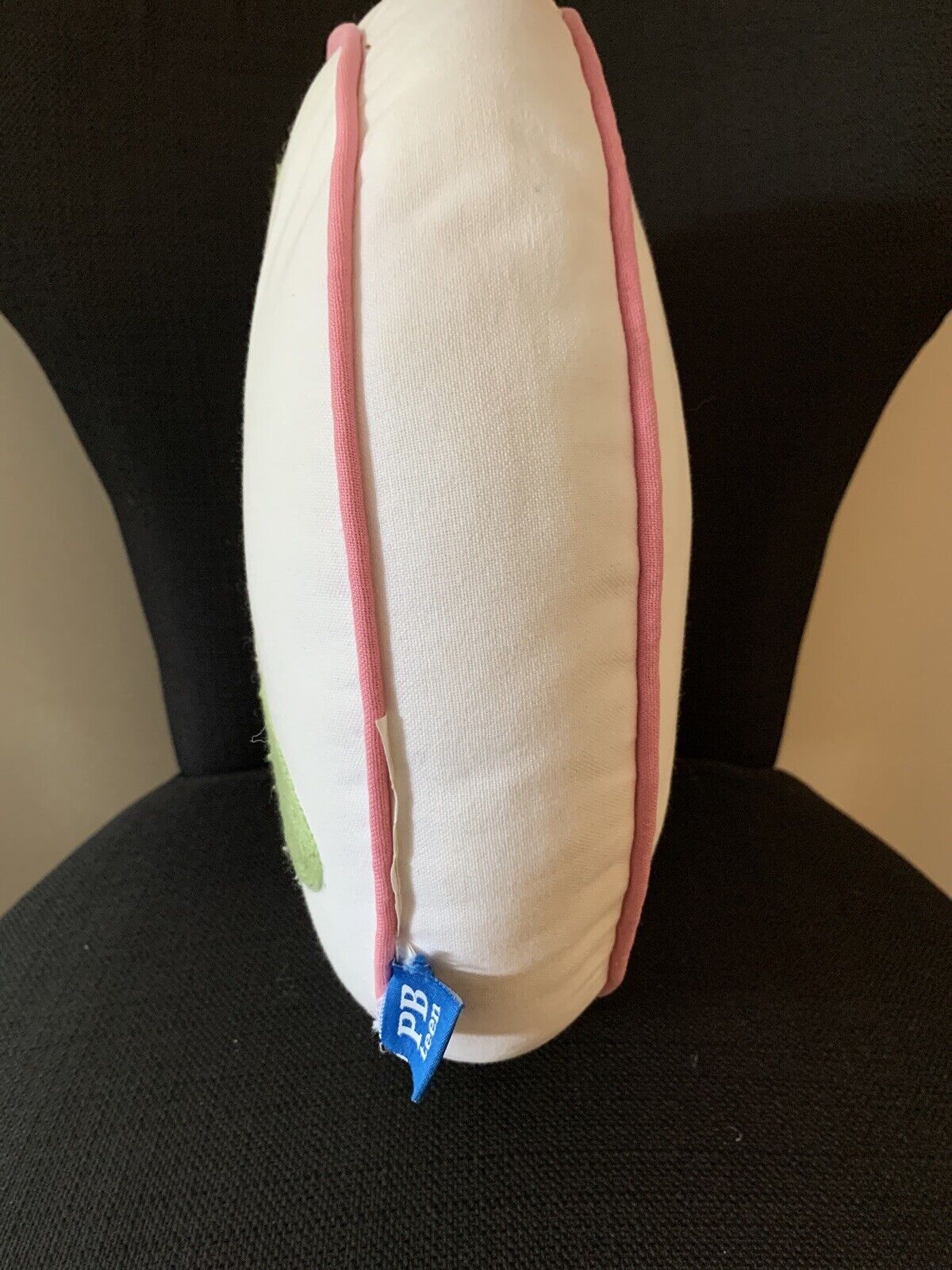 Pottery Barn Teen Throw Pillow Sea Turtle Round Embroidered Decorative 14