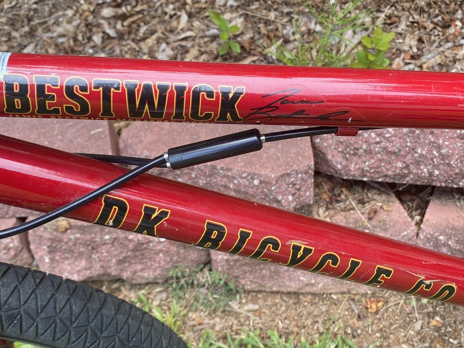 DK JAMIE BESTWICK  BICYCLE - Fresh Stock Dated February 2026