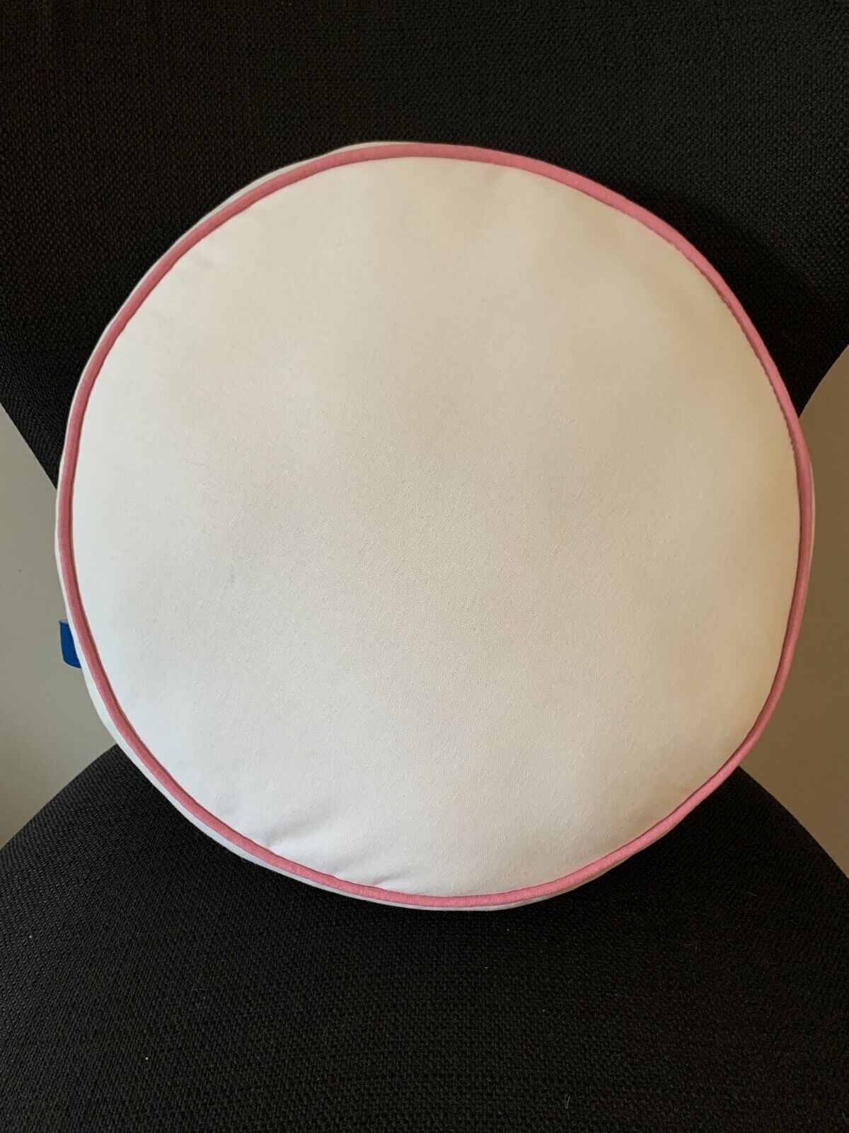 Pottery Barn Teen Throw Pillow Sea Turtle Round Embroidered Decorative 14