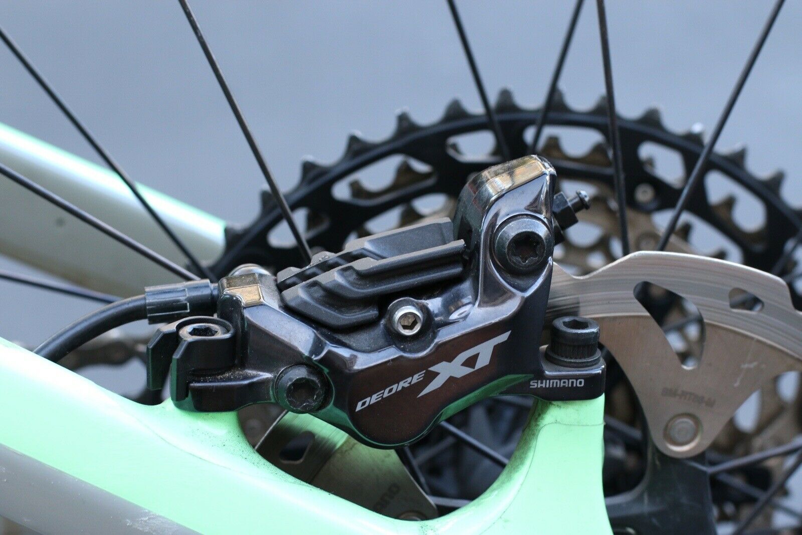 2021 Canyon Strive CF 8 Mountain Bike - XL - Full Carbon - Fresh Stock Dated December 2025