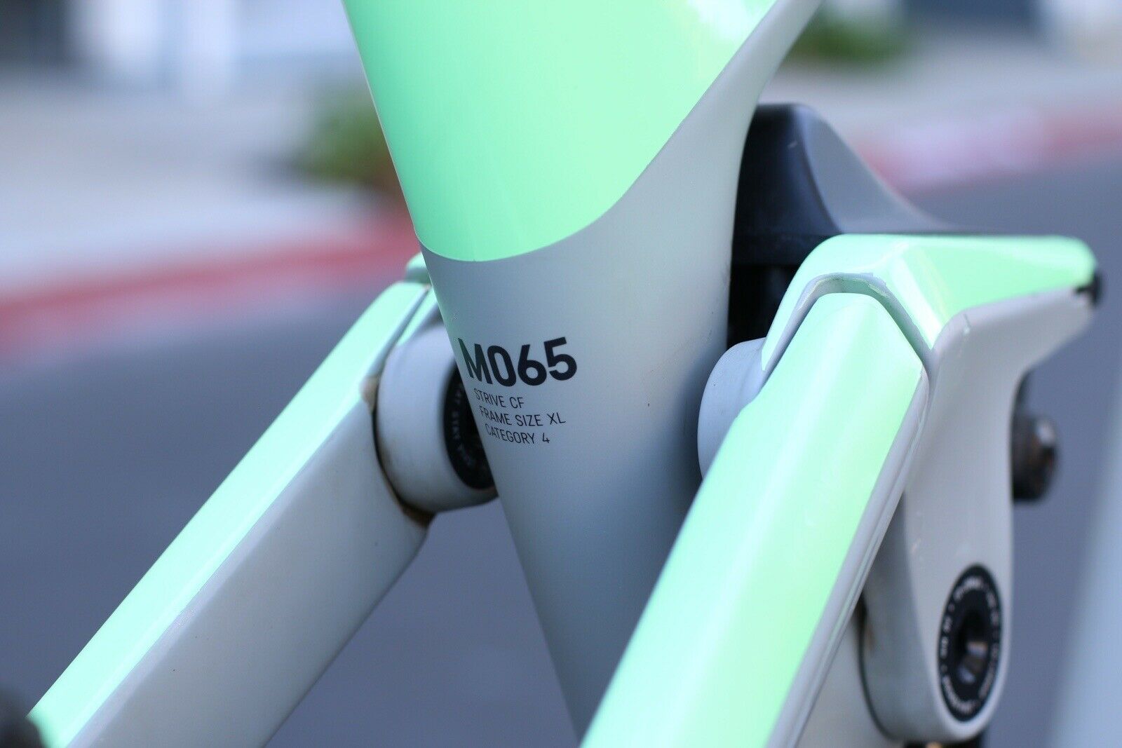 2021 Canyon Strive CF 8 Mountain Bike - XL - Full Carbon - Fresh Stock Dated December 2025