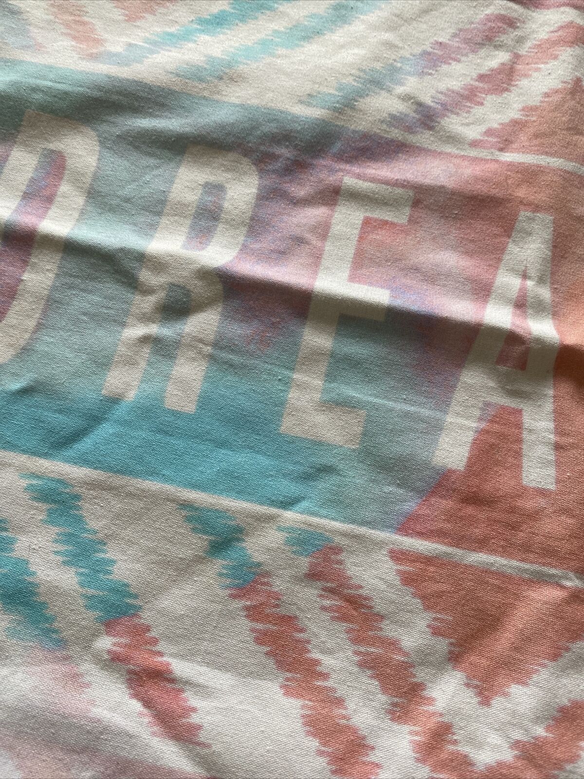 DREAMER Ivivva For Pottery Barn Teen Pillow Cover Sham O/S - Fresh Stock Dated February 2026