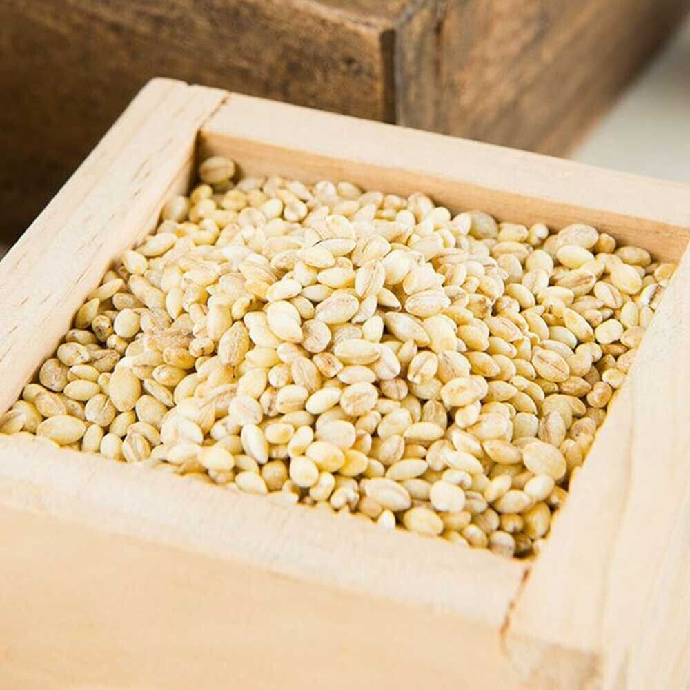 TOTOMI Korean Scorched Brown Rice barley Snacks, No Sugar, Nurungji, 460g 16.2oz - Fresh Stock Dated February 2026