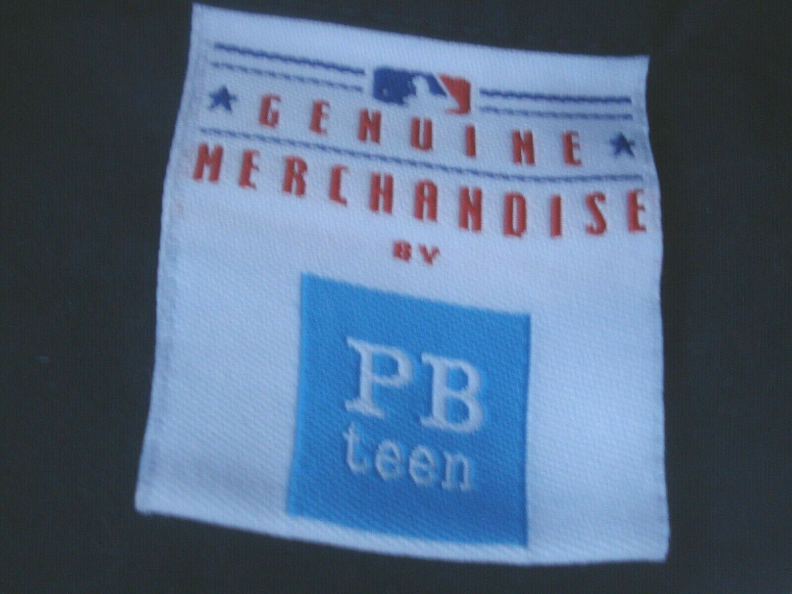 Pottery Barn Teen Major League Baseball Quilted Standard Sham - Fresh Stock Dated December 2025