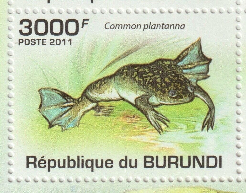 Burundi 2011 Souvenir sheet #906 Burundi Frogs (Set of 4) - MNH - Fresh Stock Dated December 2025