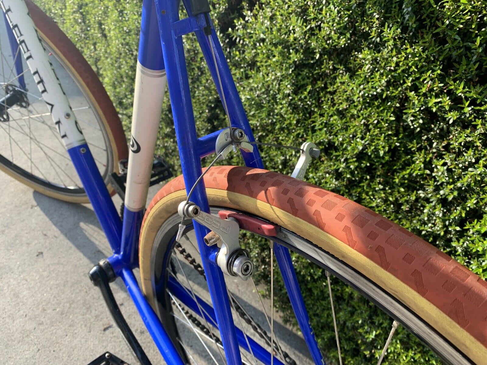 Steelman Eurocross Singlespeed SS 53x55 Paul Brakes Paul Wheels Titanium - Fresh Stock Dated December 2025