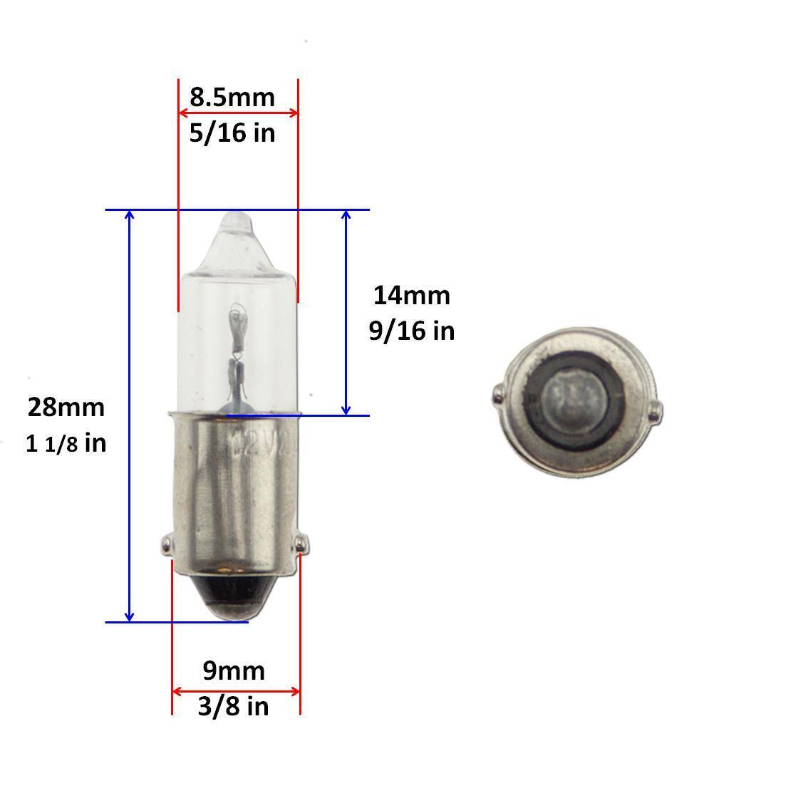 BA9S T4W 21W Clear Turn Signal Blinker Single Filament 4x Light Bulb Globe - Fresh Stock Dated February 2026