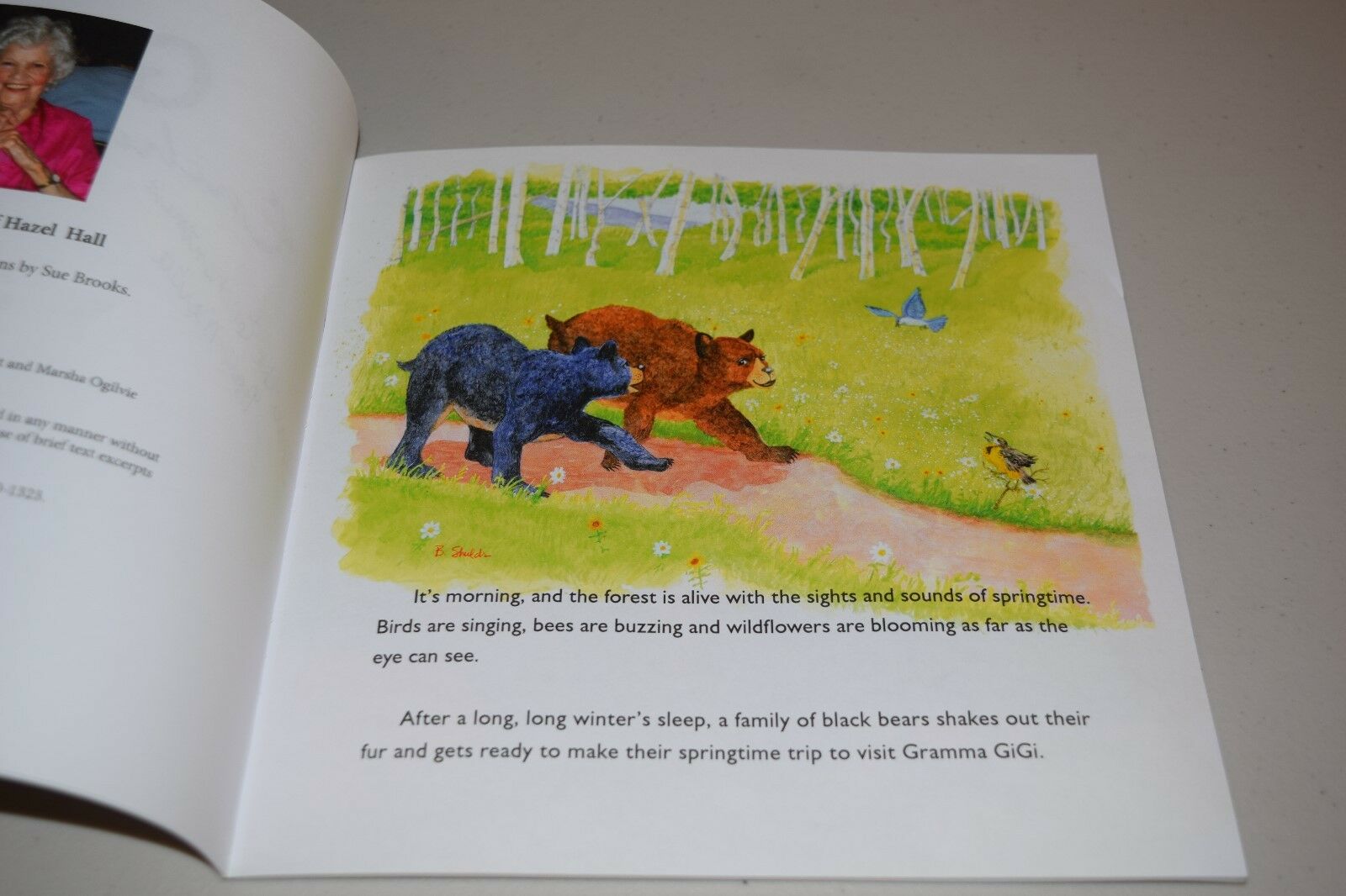 Gigi's Enchanted Forest by Patti Clemons Merritt Shields SIGNED BY AUTHORS Bears - Fresh Stock Dated December 2025