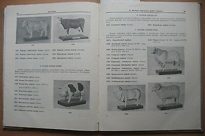 School Equipment Visual Aids Book Device Biology Instrument Catalog Sample 1958 - Fresh Stock Dated December 2025