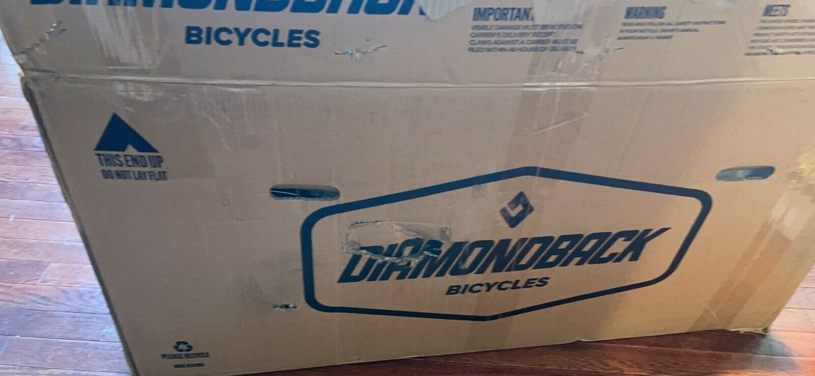 New Open Box Diamondback (Lustre 20) Youth 6-Speed Bicycle - Fresh Stock Dated February 2026