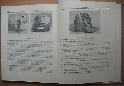 School Equipment Visual Aids Book Device Biology Instrument Catalog Sample 1958 - Fresh Stock Dated December 2025