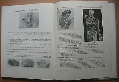 School Equipment Visual Aids Book Device Biology Instrument Catalog Sample 1958 - Fresh Stock Dated December 2025