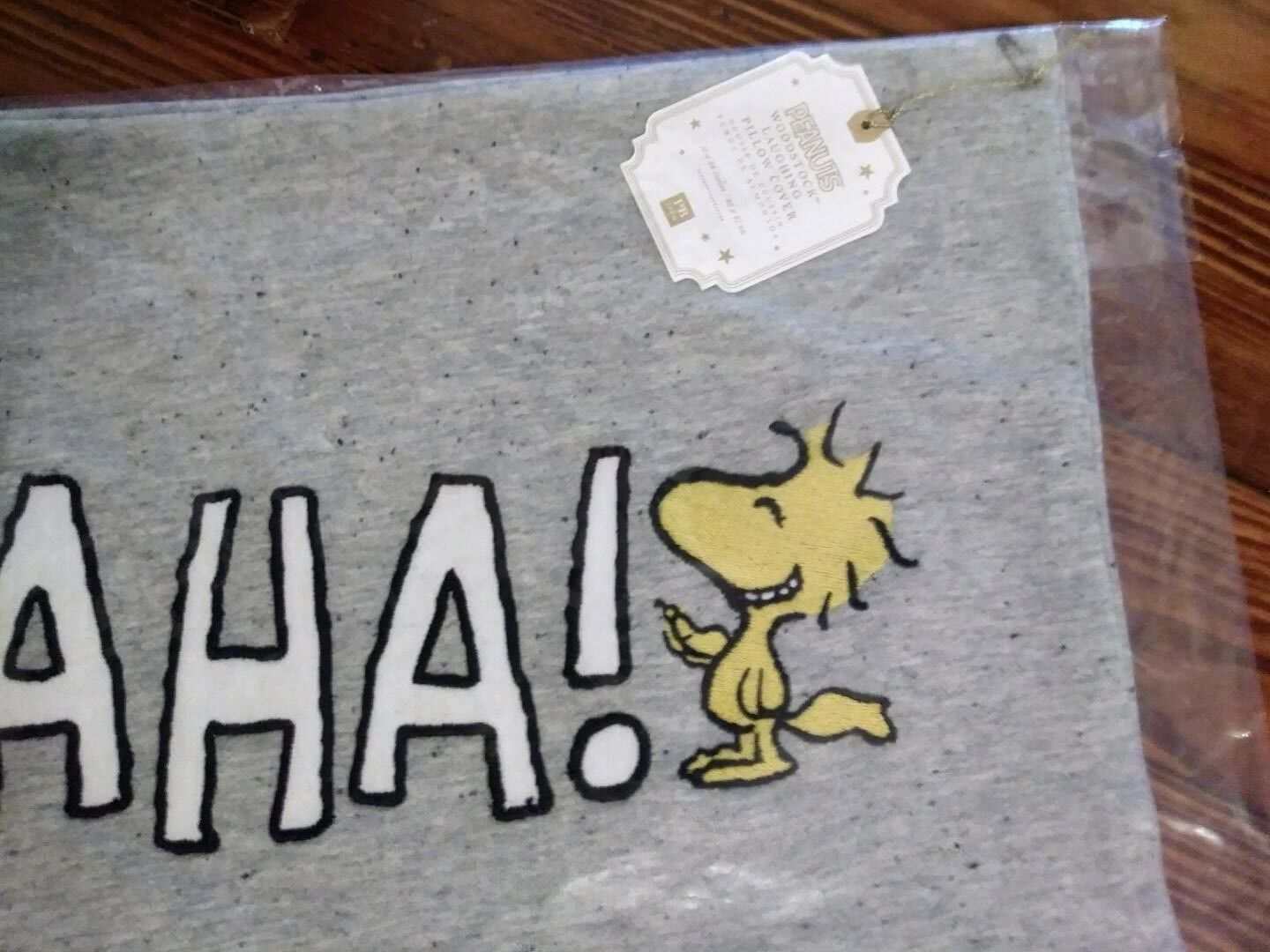 Pottery barn Woodstock Sham peanuts pillow cover Snoopy dog holiday gift Dorm - Fresh Stock Dated December 2025