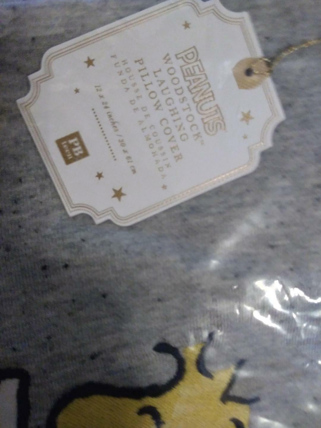 Pottery barn Woodstock Sham peanuts pillow cover Snoopy dog holiday gift Dorm - Fresh Stock Dated December 2025