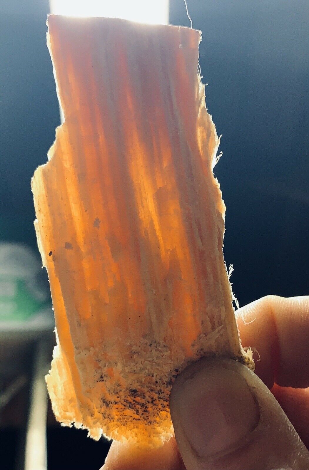 2 Lbs FARMERS MARKET FATWOOD Sticky All Natural Lights When Wet - Fresh Stock Dated December 2025