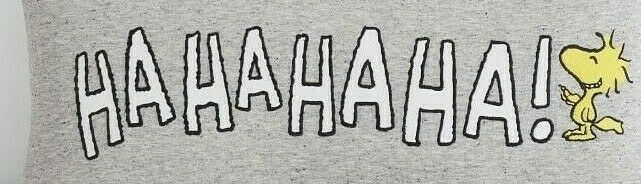 Pottery barn Woodstock Sham peanuts pillow cover Snoopy dog holiday gift Dorm - Fresh Stock Dated December 2025