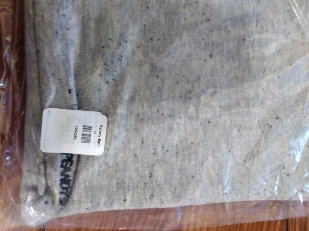 Pottery barn Woodstock Sham peanuts pillow cover Snoopy dog holiday gift Dorm - Fresh Stock Dated December 2025