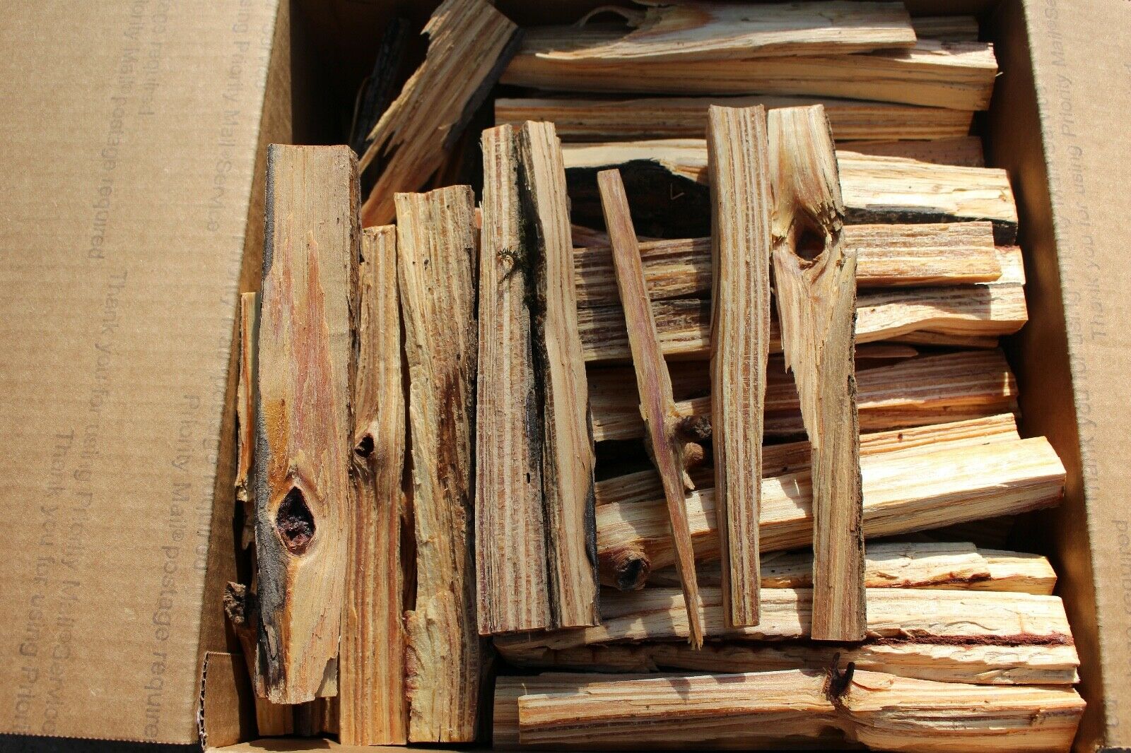 Florida Heart Pine fat lighter fatwood Kindling Wood Fire Starters 10 Pounds - Fresh Stock Dated December 2025
