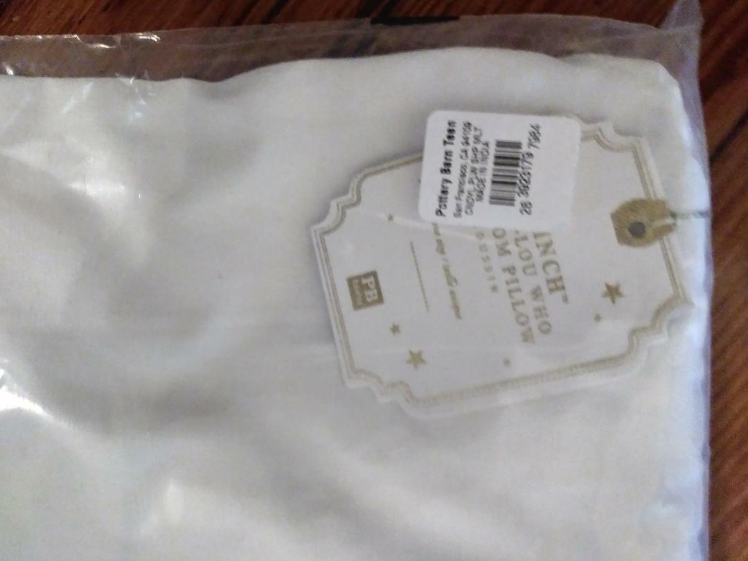 Pottery barn Woodstock Sham peanuts pillow cover Snoopy dog holiday gift Dorm - Fresh Stock Dated December 2025