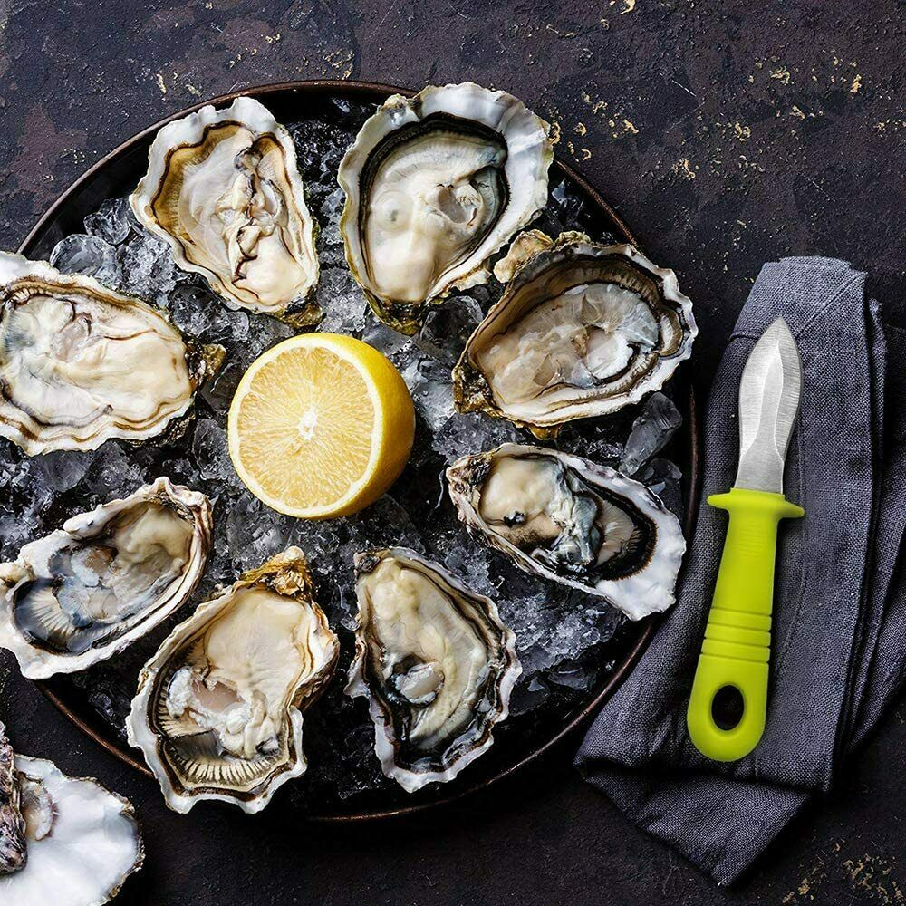 DragonFruitee Oyster Knife Shucking Tool, Commercial Grade with Anti-Slip Handle - Fresh Stock Dated January 2026
