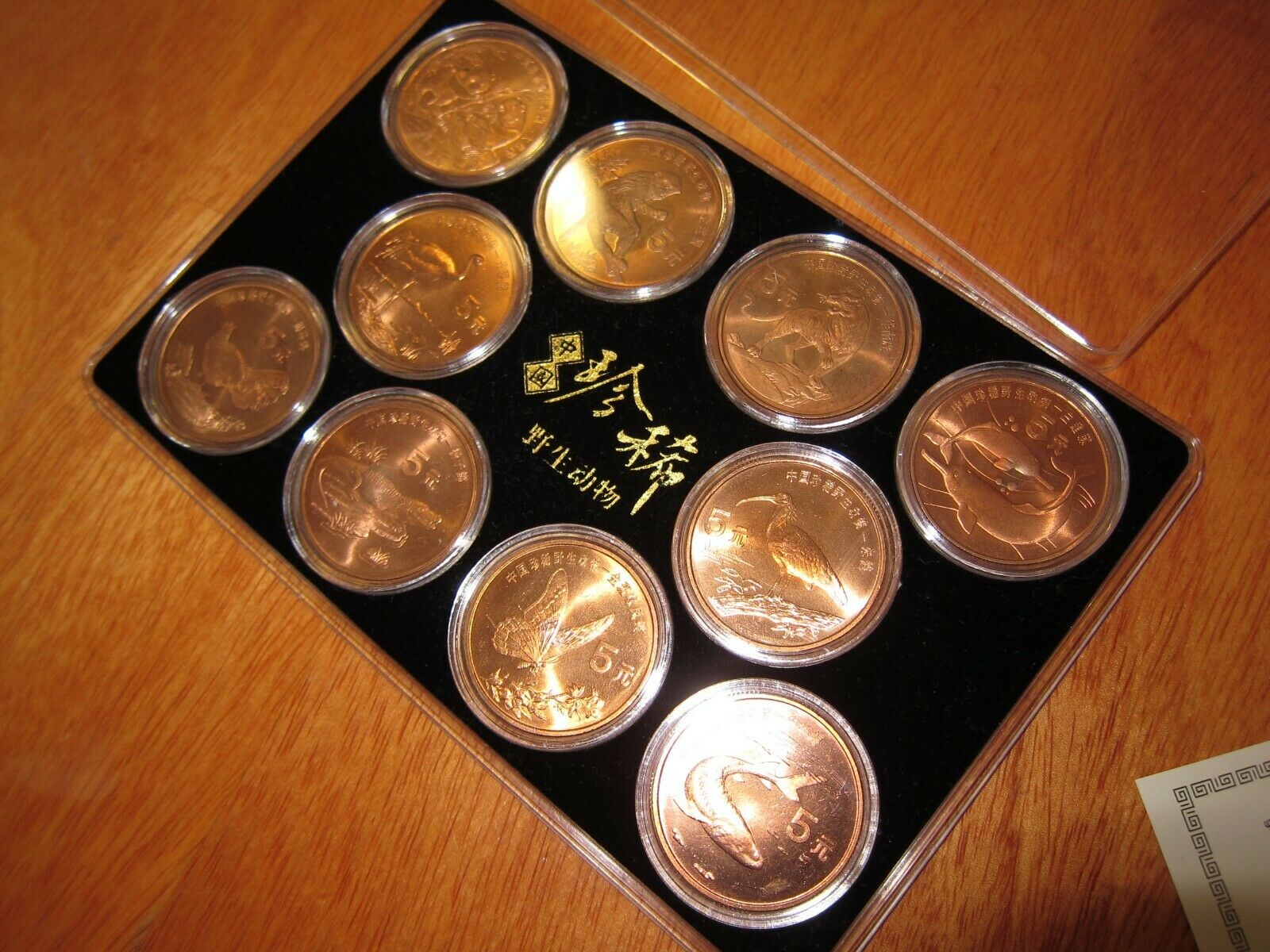 1993 - 1999 China Rare Wild Animals Copper 5 Yuan 10 Coin Set - Fresh Stock Dated February 2026