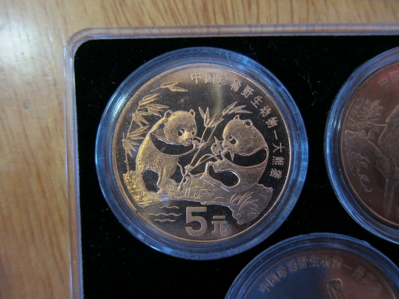1993 - 1999 China Rare Wild Animals Copper 5 Yuan 10 Coin Set - Fresh Stock Dated February 2026