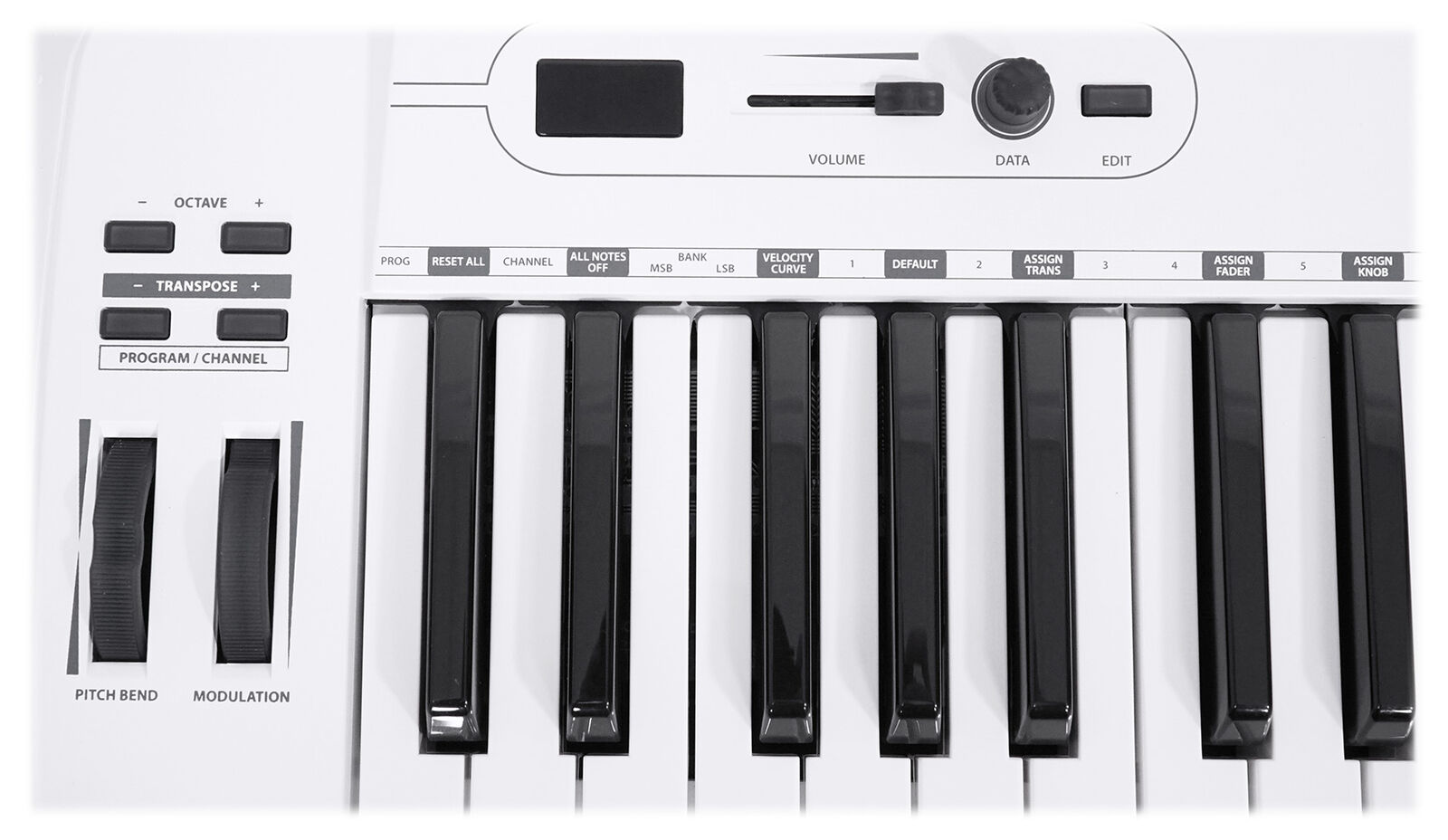 Samson Carbon 61 Key USB MIDI DJ Keyboard Controller+Komplete Elements Software - Fresh Stock Dated February 2026
