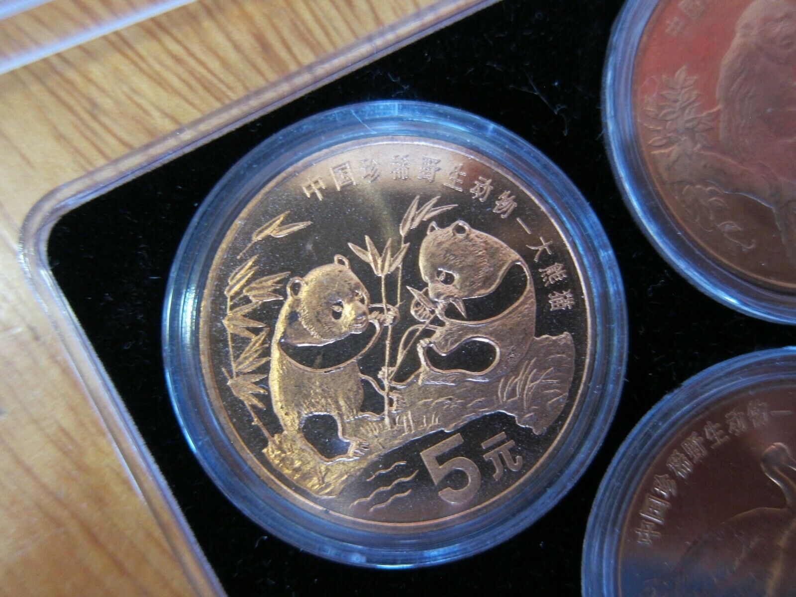 1993 - 1999 China Rare Wild Animals Copper 5 Yuan 10 Coin Set - Fresh Stock Dated February 2026