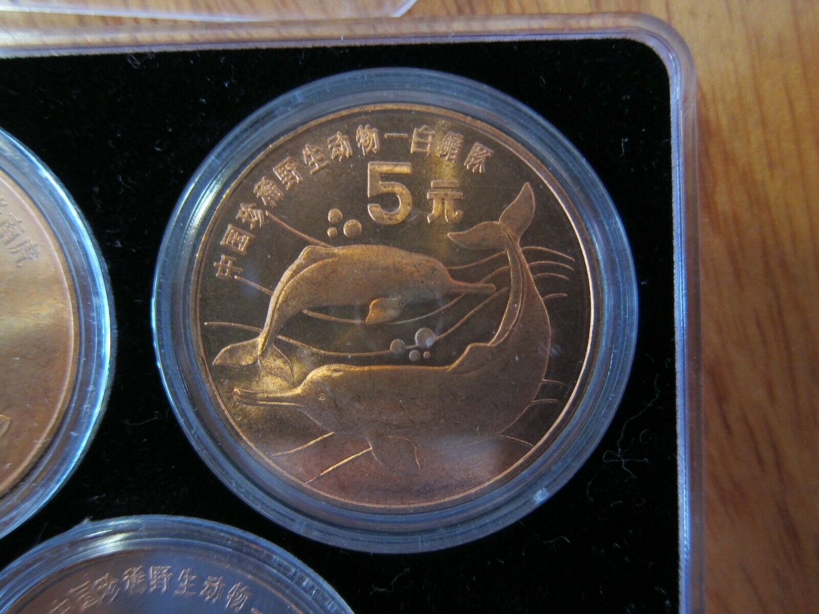 1993 - 1999 China Rare Wild Animals Copper 5 Yuan 10 Coin Set - Fresh Stock Dated February 2026