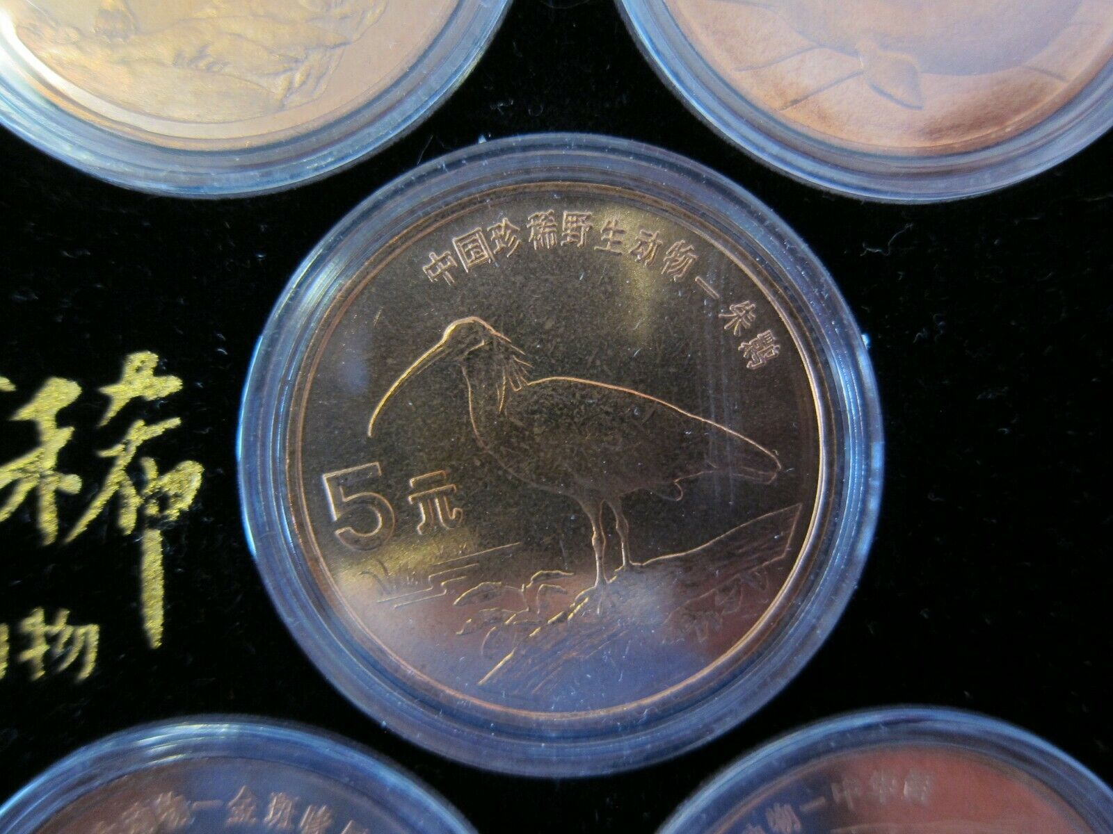 1993 - 1999 China Rare Wild Animals Copper 5 Yuan 10 Coin Set - Fresh Stock Dated February 2026