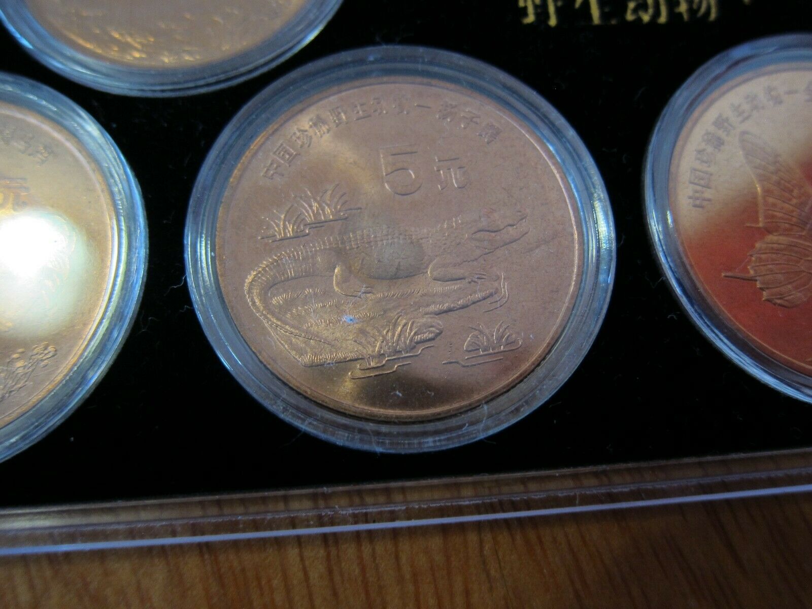 1993 - 1999 China Rare Wild Animals Copper 5 Yuan 10 Coin Set - Fresh Stock Dated February 2026