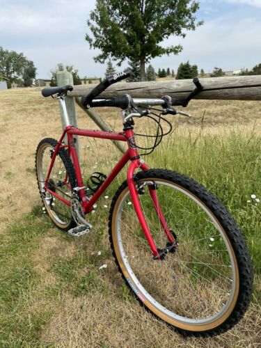 Beautiful 1993 JAMIS Diablo MTB RED Mountain Bike 19.5