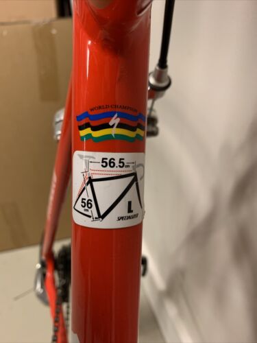 Specialized Allez Elite Road Bike 56cm - Fresh Stock Dated February 2026