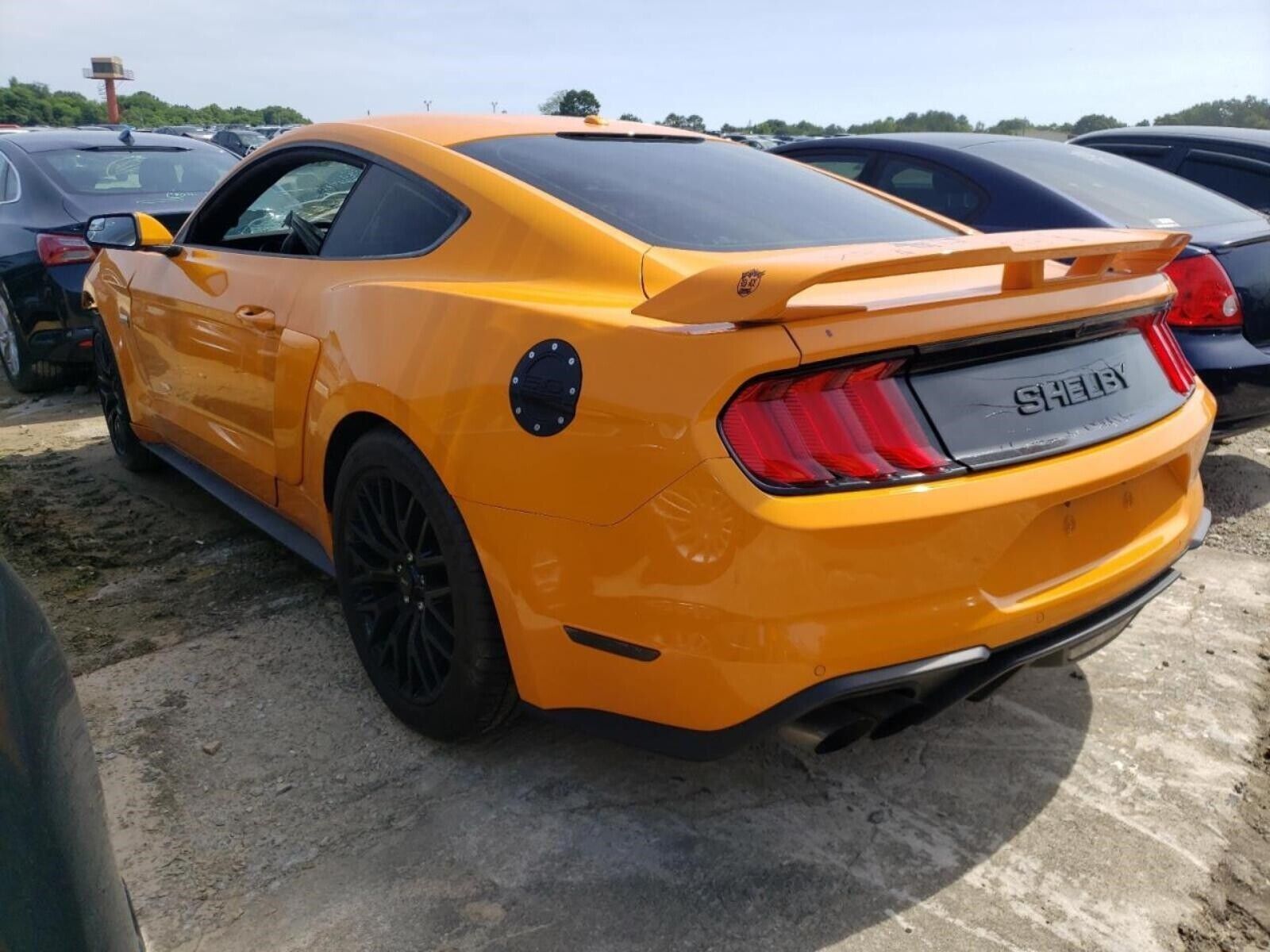 MUSTANG Transmission MT 5.0L 18 - Fresh Stock Dated February 2026