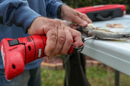 Bubba Lithium Ion Cordless Electric Fillet Knife 4 Blades Li-Ion Fishing 1095705 - Fresh Stock Dated December 2025