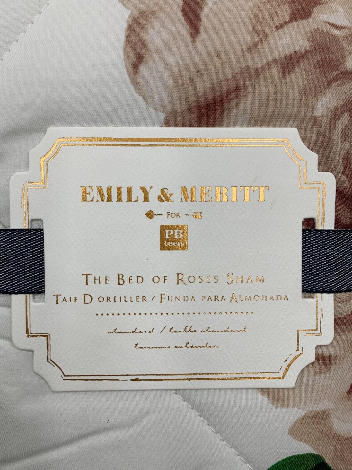 Pottery Barn Teen Emily & Meritt The Bed of Roses Sham Standard Ivory Blush G882 - Fresh Stock Dated February 2026
