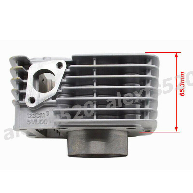 Motorsports 150CC Big Bore Cylinder Piston Kit Rings Camshaft For Yamaha TTR125 - Fresh Stock Dated February 2026