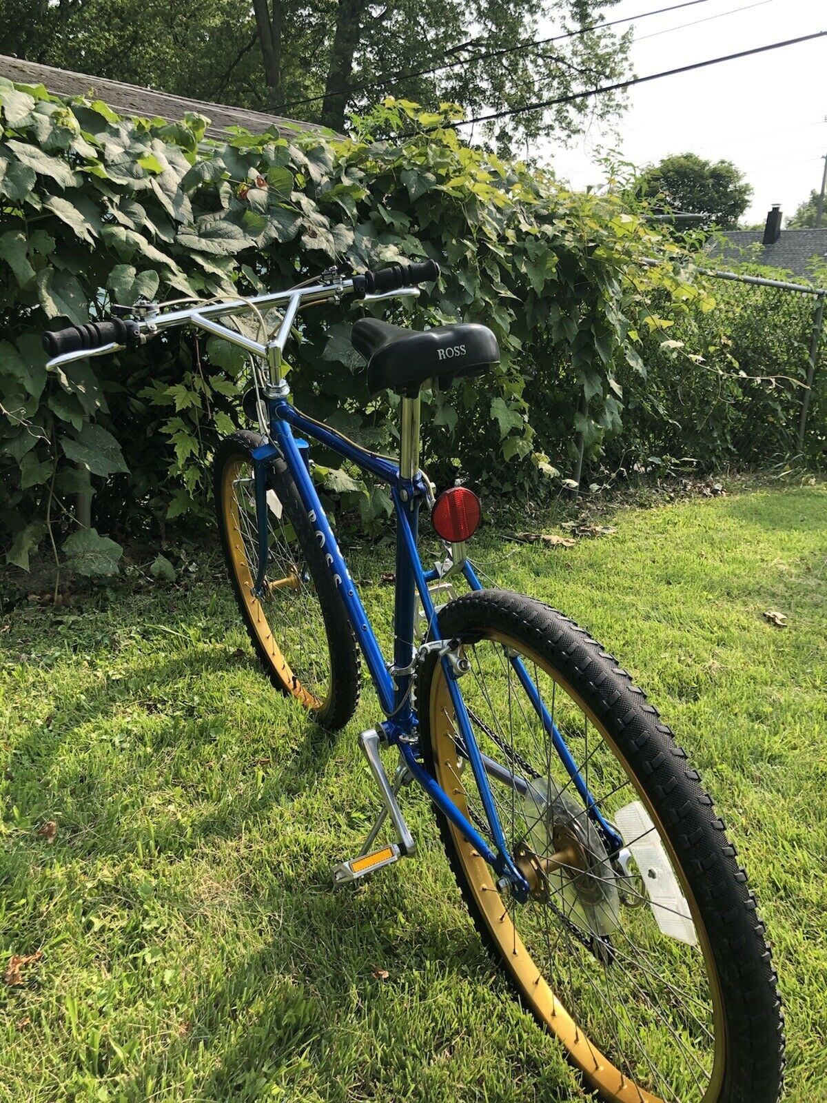 Vintage Ross Mountain Bike, Mt. St. Helens SR hubs, SR Cranks, Ukai Gold Rims - Fresh Stock Dated February 2026