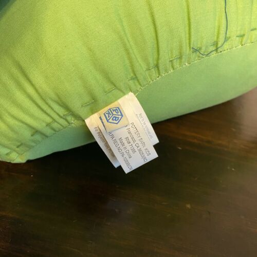 Pottery Barn Kids Insect Grasshopper Bedroom Throw Pillows Bugs Decor - Fresh Stock Dated December 2025