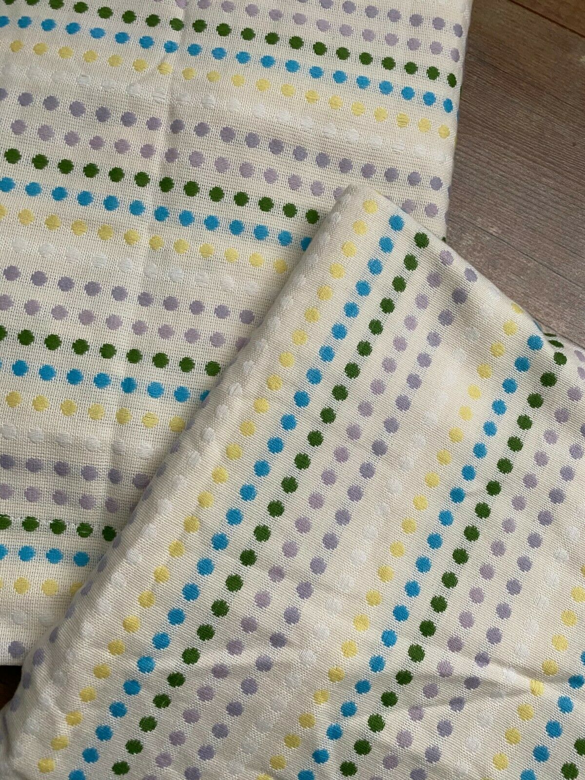 Pottery Barn PB Teen Set of 2 Cream Ivory Embroider Polka Dot Euro Pillow Shams - Fresh Stock Dated January 2026