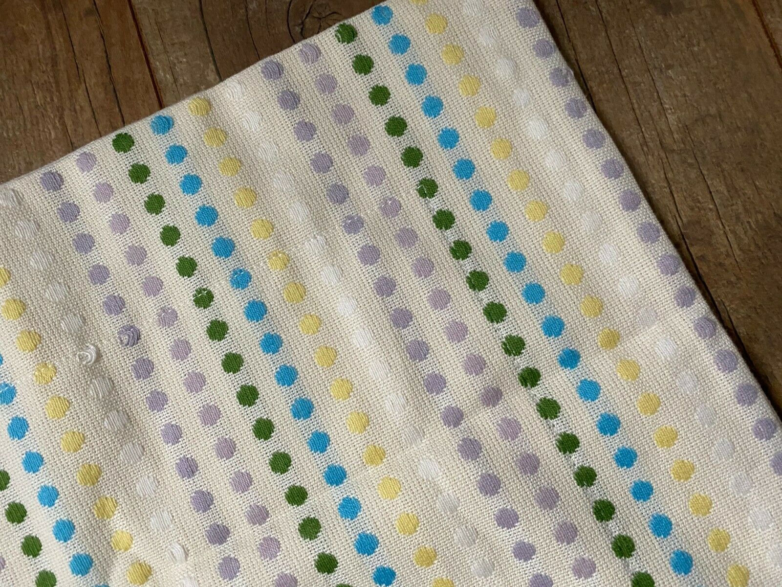 Pottery Barn PB Teen Set of 2 Cream Ivory Embroider Polka Dot Euro Pillow Shams - Fresh Stock Dated January 2026