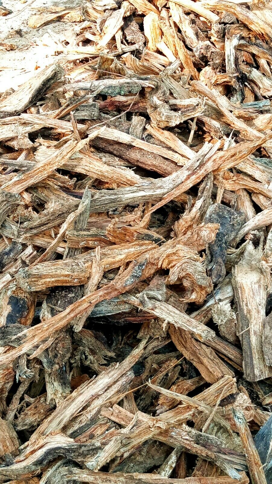 Fat lighter wood Heart Pine Kindling - Fresh Stock Dated December 2025