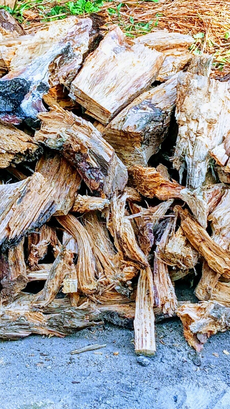 Fat lighter wood Heart Pine Kindling - Fresh Stock Dated December 2025