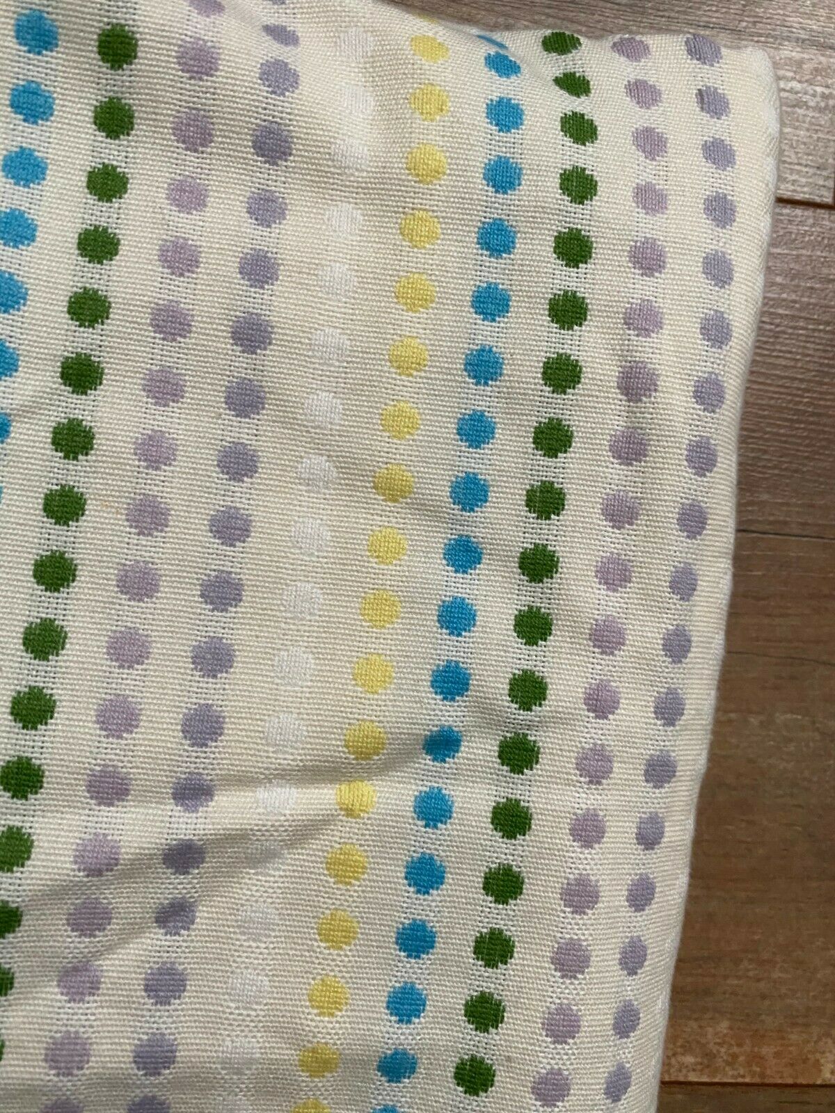 Pottery Barn PB Teen Set of 2 Cream Ivory Embroider Polka Dot Euro Pillow Shams - Fresh Stock Dated January 2026